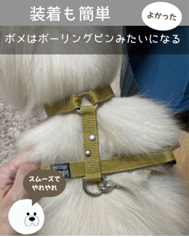 ボーリングピン装着